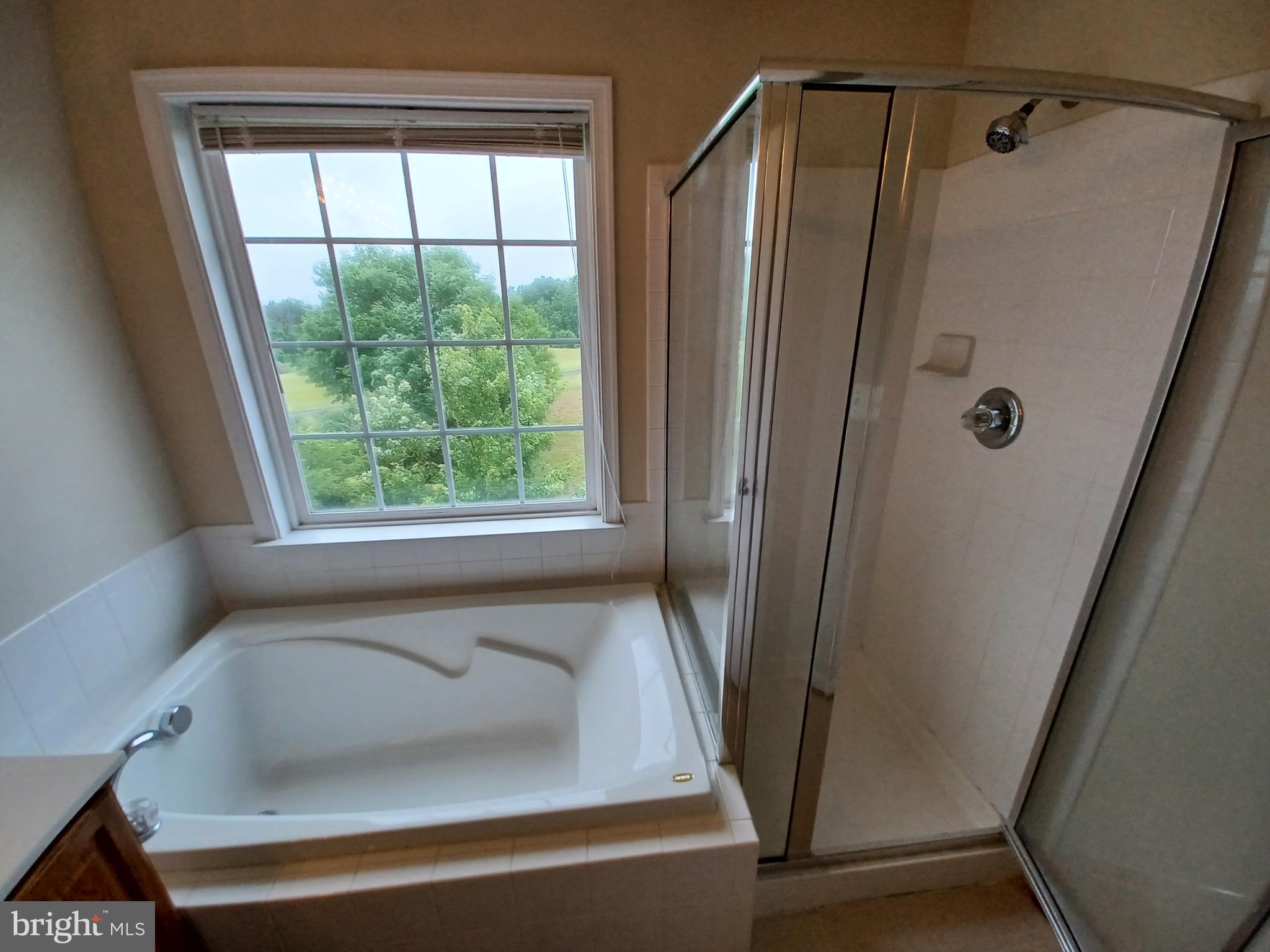 71 Spoon Square Front Royal, VA 22630 - Photo 18 of 28 Master Bath, soaking tub-separate shower