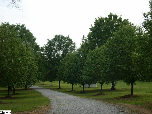 460 Chandler Road Pelzer, SC 29669 - Photo 2 of 36