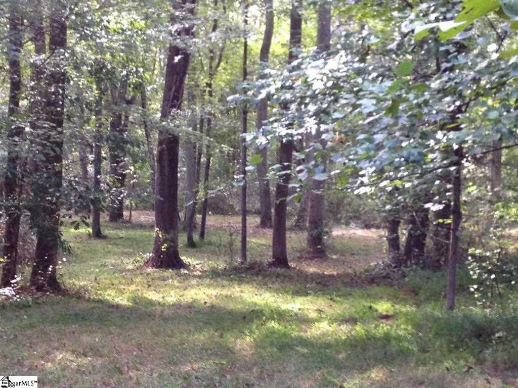 460 Chandler Road Pelzer, SC 29669 - Photo 34 of 36