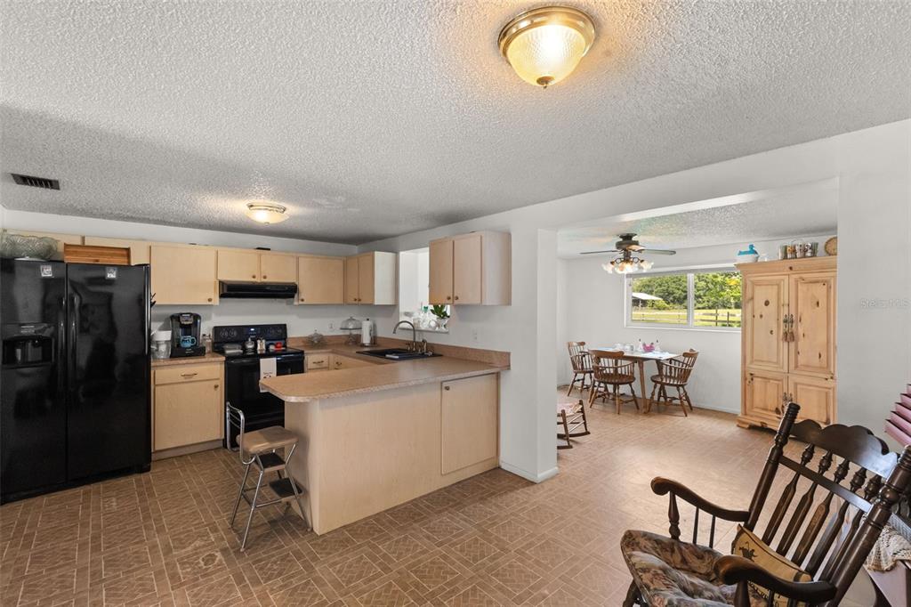 12631 Hobson Simmons Road Lithia, FL 33547 - Photo 5 of 18