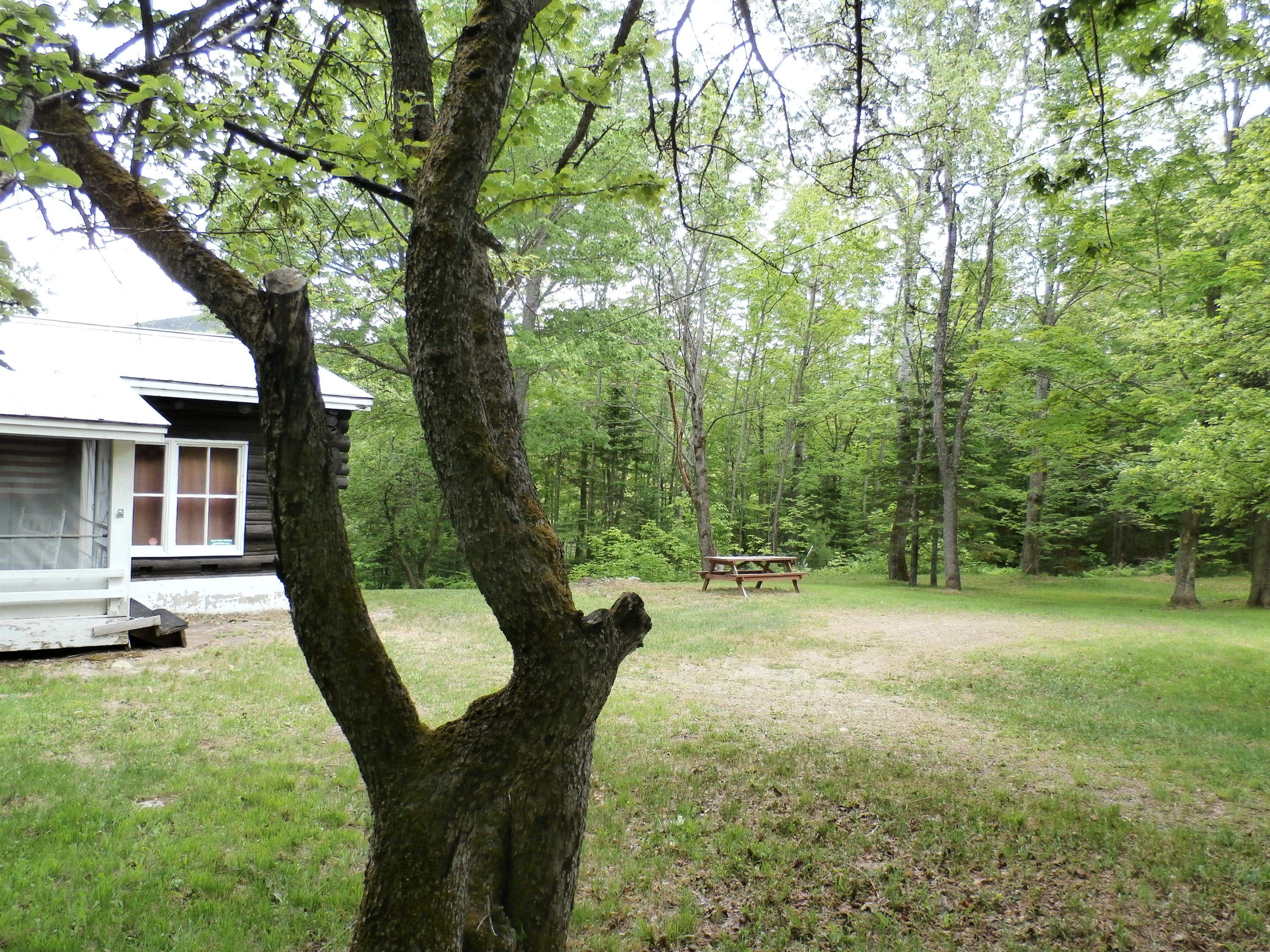 268 Weld Road Phillips, ME 04966 - Photo 4 of 26 P6120550