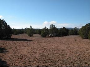 247 South Friendship Road Ash Fork, AZ 86320 - Photo 1 of 2 Primary Photo