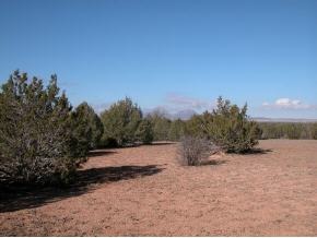 247 South Friendship Road Ash Fork, AZ 86320 - Photo 2 of 2 Additional Photo