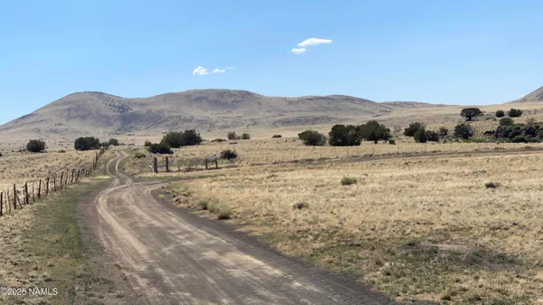 a view of a large mountains with green field and mountains