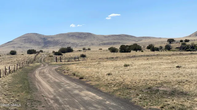 a view of a large mountains with green field and mountains