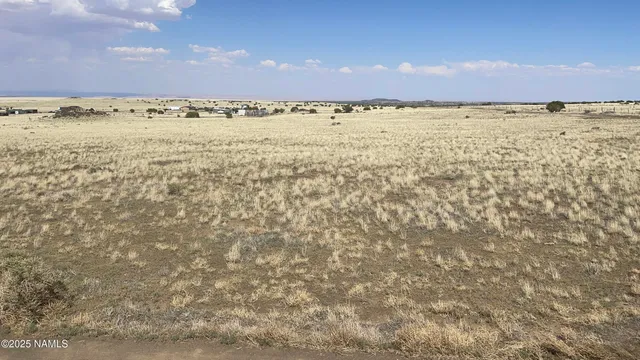 a view of an ocean beach