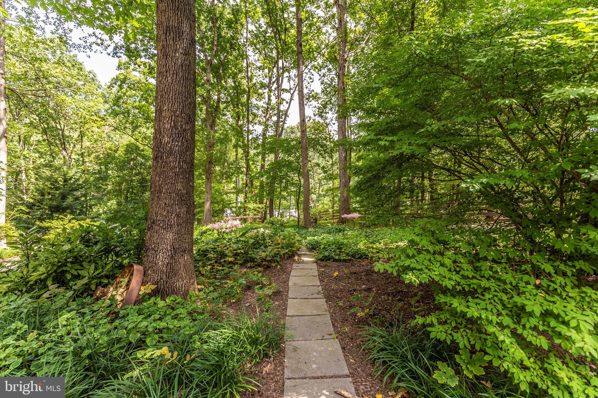 3223 Hoopers Delight Road New Windsor, MD 21776 - Photo 44 of 85 Lovely grounds and gardens