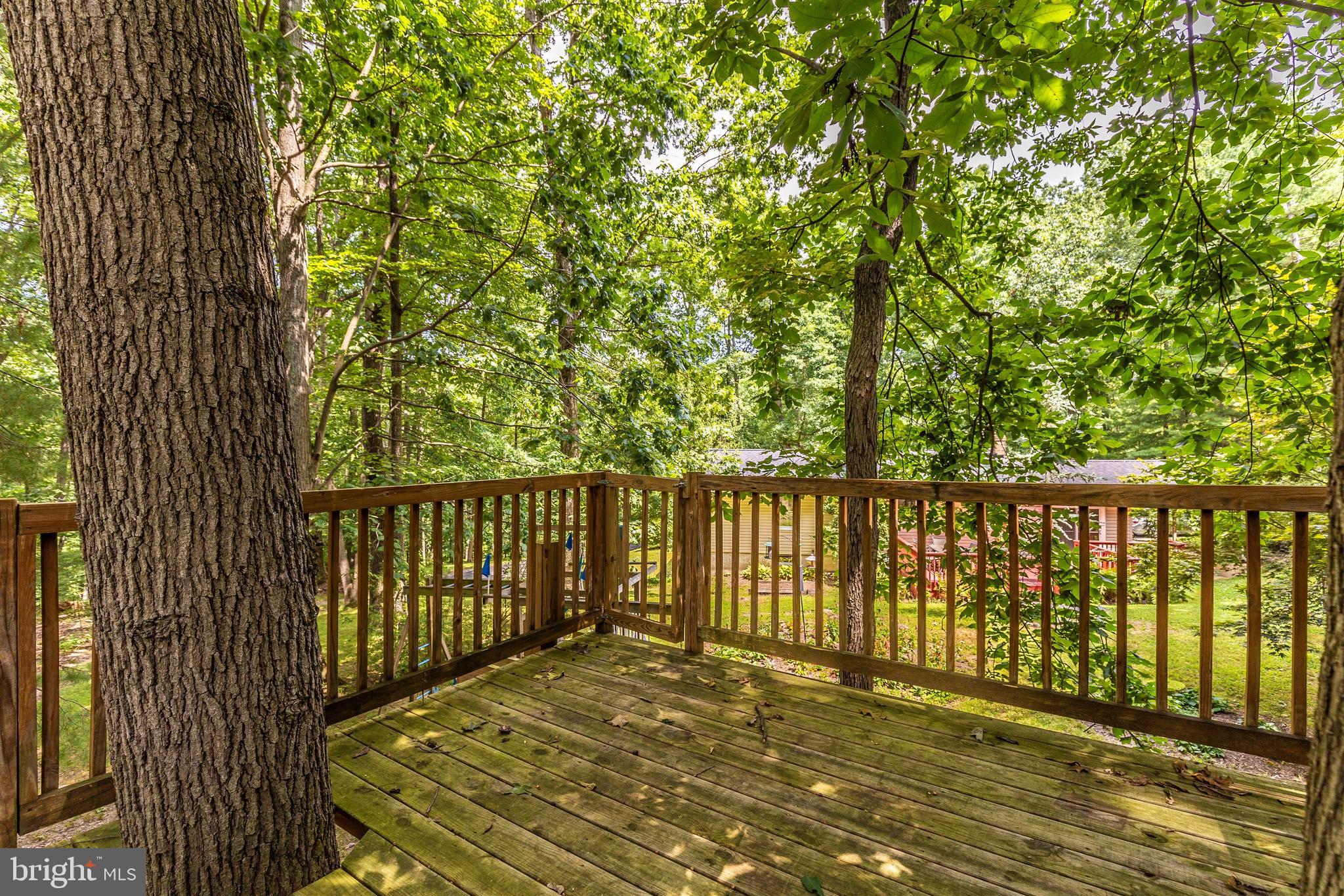 3223 Hoopers Delight Road New Windsor, MD 21776 - Photo 82 of 85 View from the tree tops