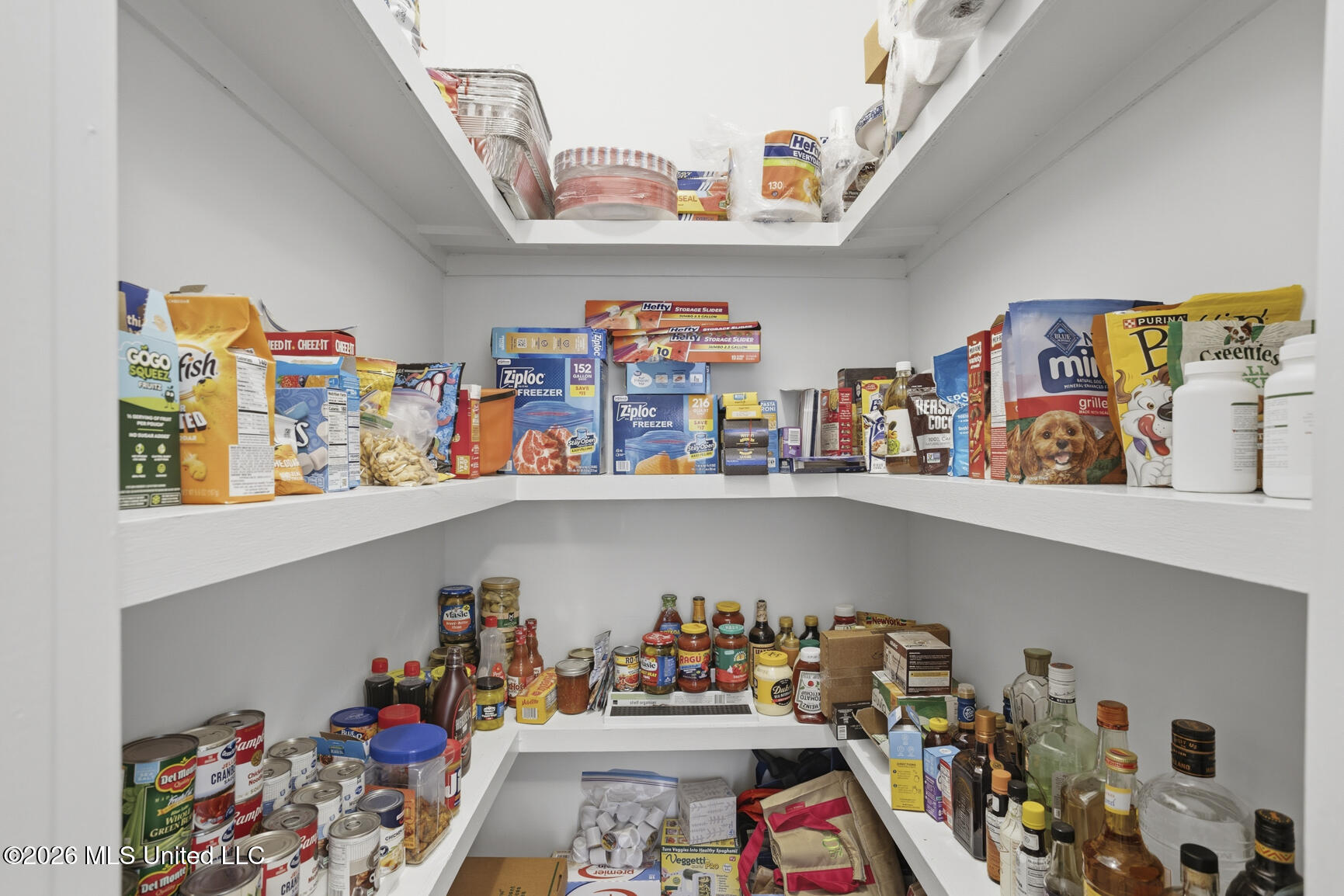 120 Eastpointe Circle Madison, MS 39110 - Photo 22 of 51 Huge Walk in Pantry