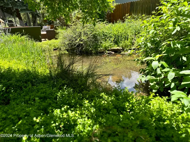 $50,000 | 1220 Alta Vista Street, Aspen, CO 81611