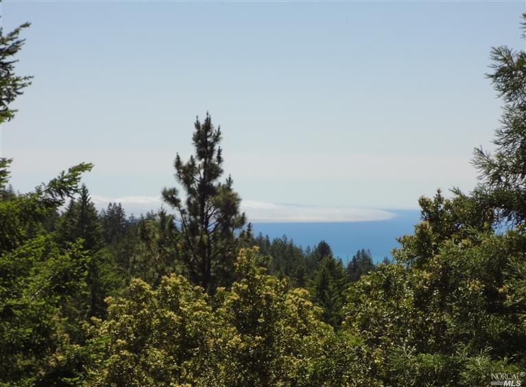 0 Fish Rock Road Gualala, CA 95445 - Photo 1 of 1 Puddle of fog flows into panoramic view of deep blue water from building site.