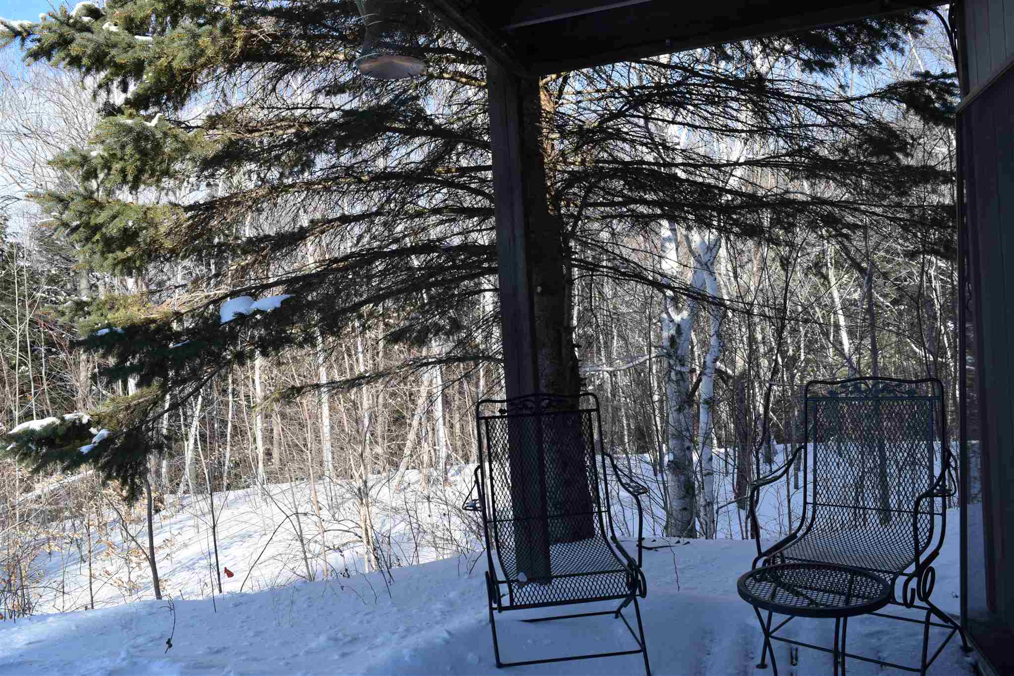 3 Mountain View Road, Unit 3 Intervale, NH 03845 - Photo 29 of 39