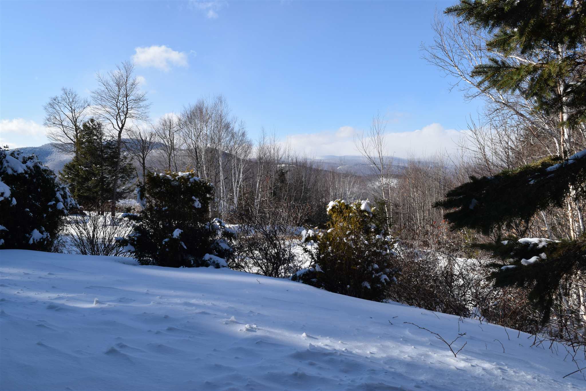 3 Mountain View Road, Unit 3 Intervale, NH 03845 - Photo 30 of 39