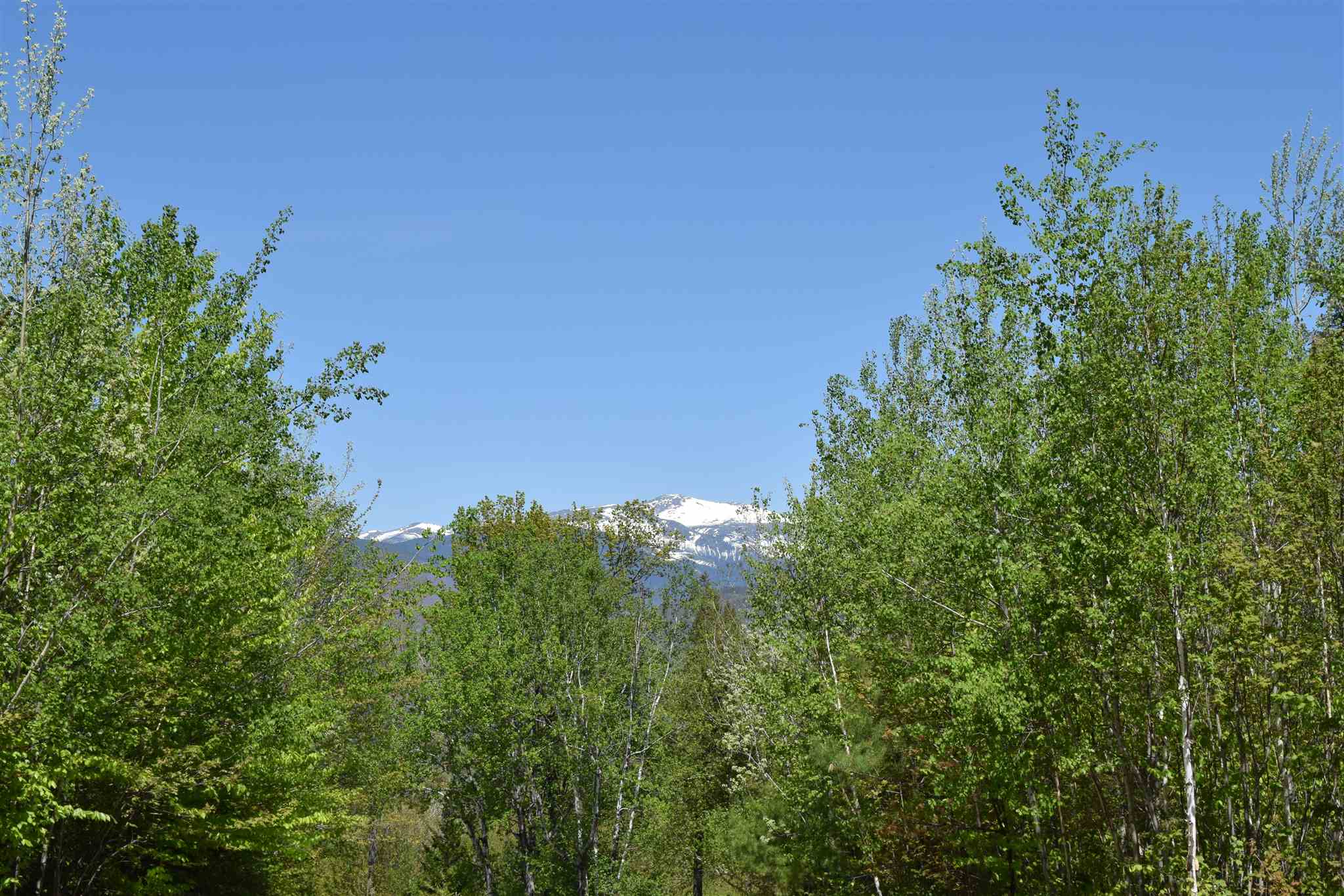 3 Mountain View Road, Unit 3 Intervale, NH 03845 - Photo 39 of 39