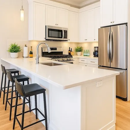 $6,200 | 142 West Concord Street, Unit 3, Boston, MA 02118