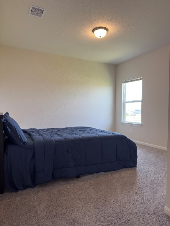 32210 Slender Spreadwing Drive Fulshear, TX 77441 - Photo 15 of 23