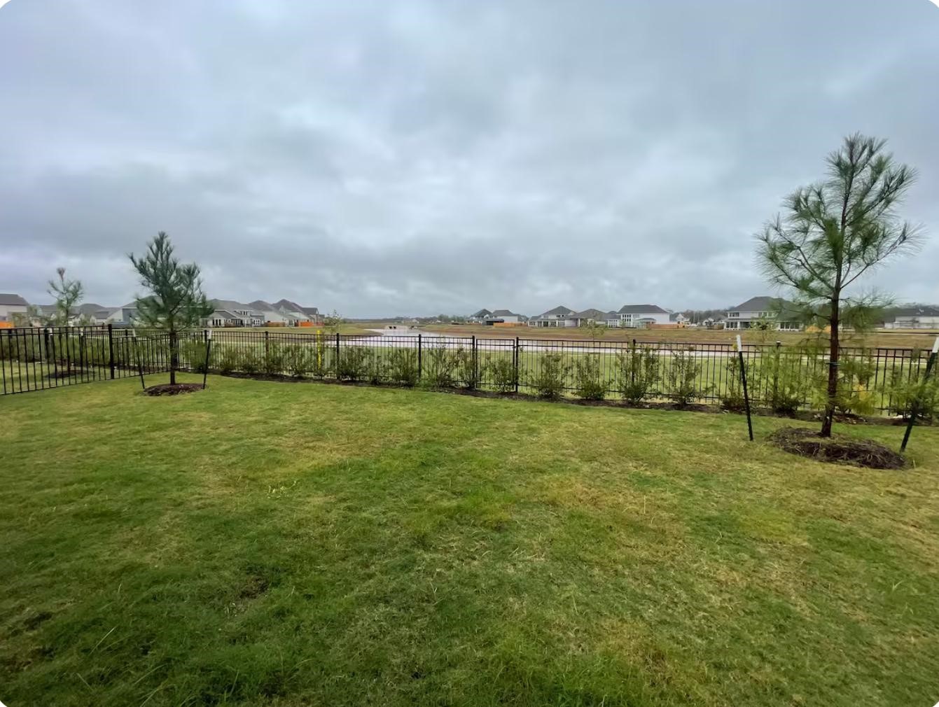 32210 Slender Spreadwing Drive Fulshear, TX 77441 - Photo 8 of 11 a view of a garden