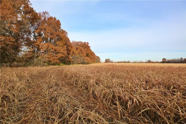 $1,000,000 | 0 East 530th Avenue, Pittsburg, KS 66762