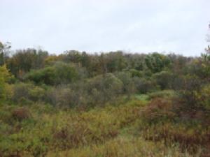 Lot 7, Rockville Road