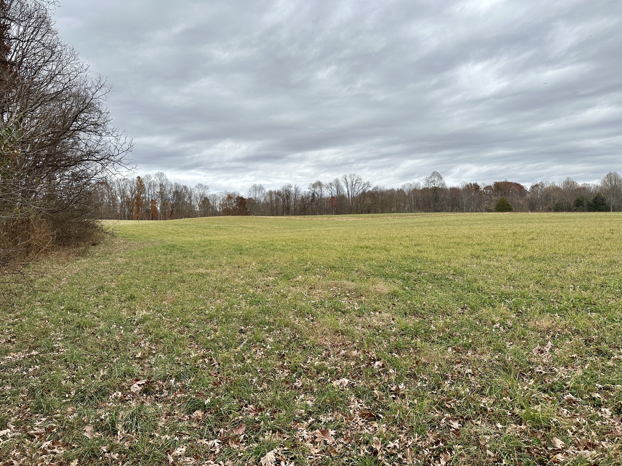968 Yoder Road Altamont, TN 37301 - Photo 2 of 21 Gallery Image 2