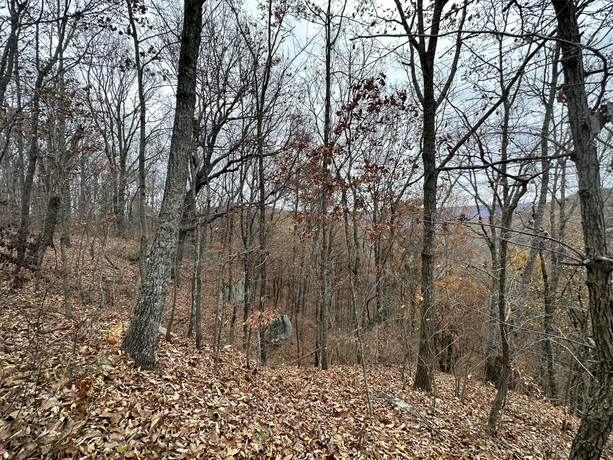 968 Yoder Road Altamont, TN 37301 - Photo 3 of 21 Gallery Image 3