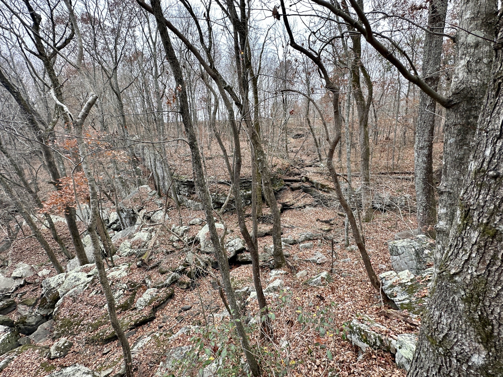 968 Yoder Road Altamont, TN 37301 - Photo 8 of 21 Gallery Image 8