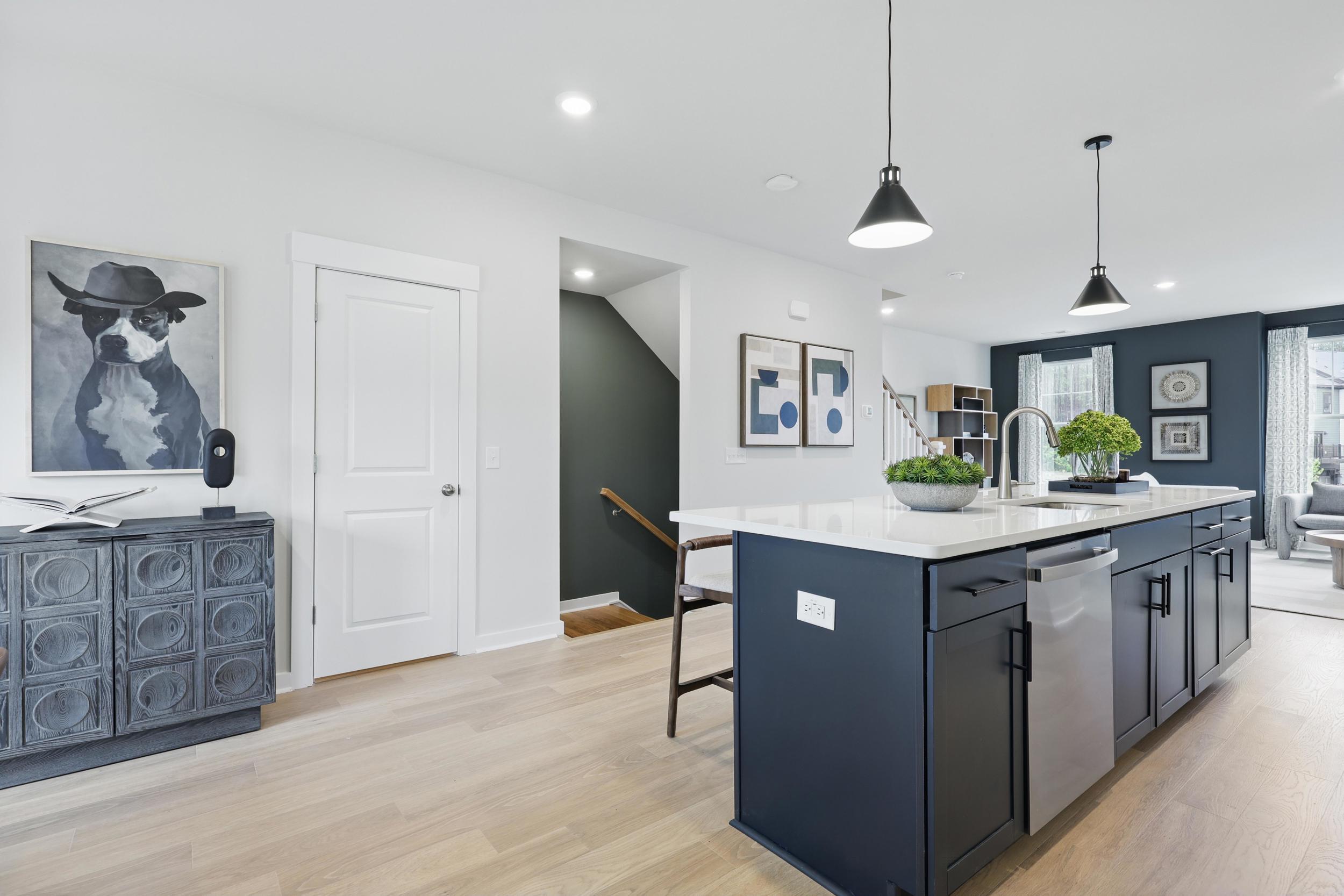 592 Scholar Way Summerville, SC 29486 - Photo 15 of 84 KitchenIsl2