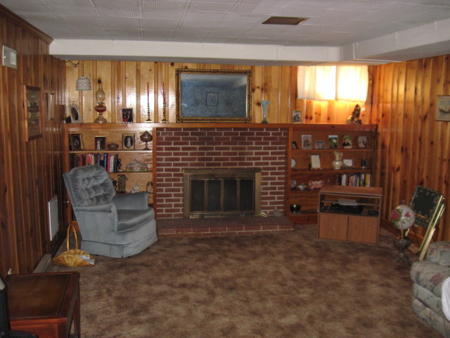 4003 Cove Road Roanoke, VA 24017 - Photo 13 of 14 a living room with furniture a window and a fireplace