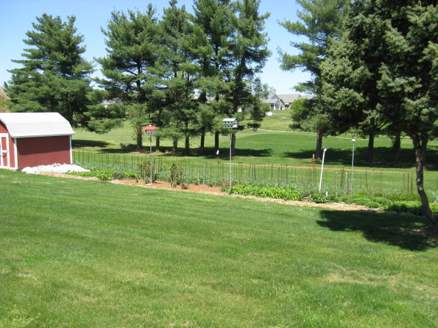 4003 Cove Road Roanoke, VA 24017 - Photo 9 of 14 a view of a park with a large tree