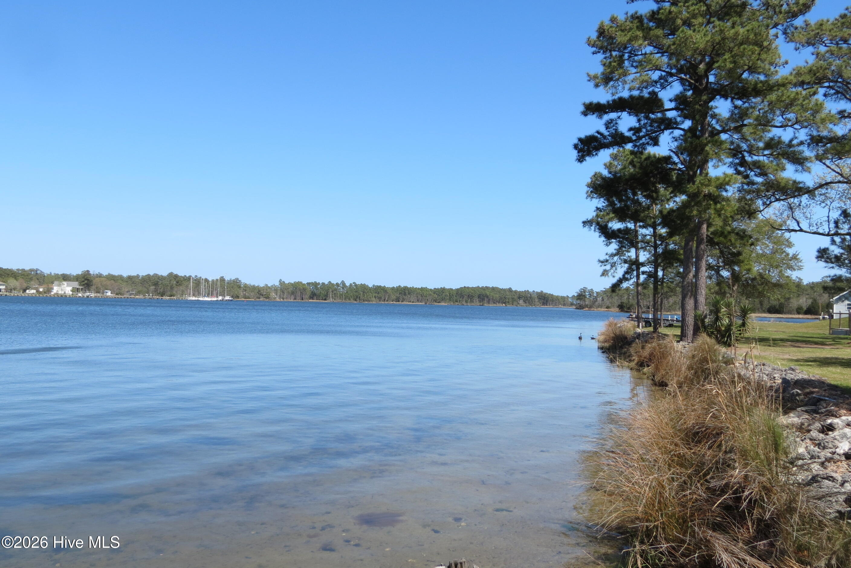 609 Mills Road Oriental, NC 28571 - Photo 31 of 85 IMG_2662