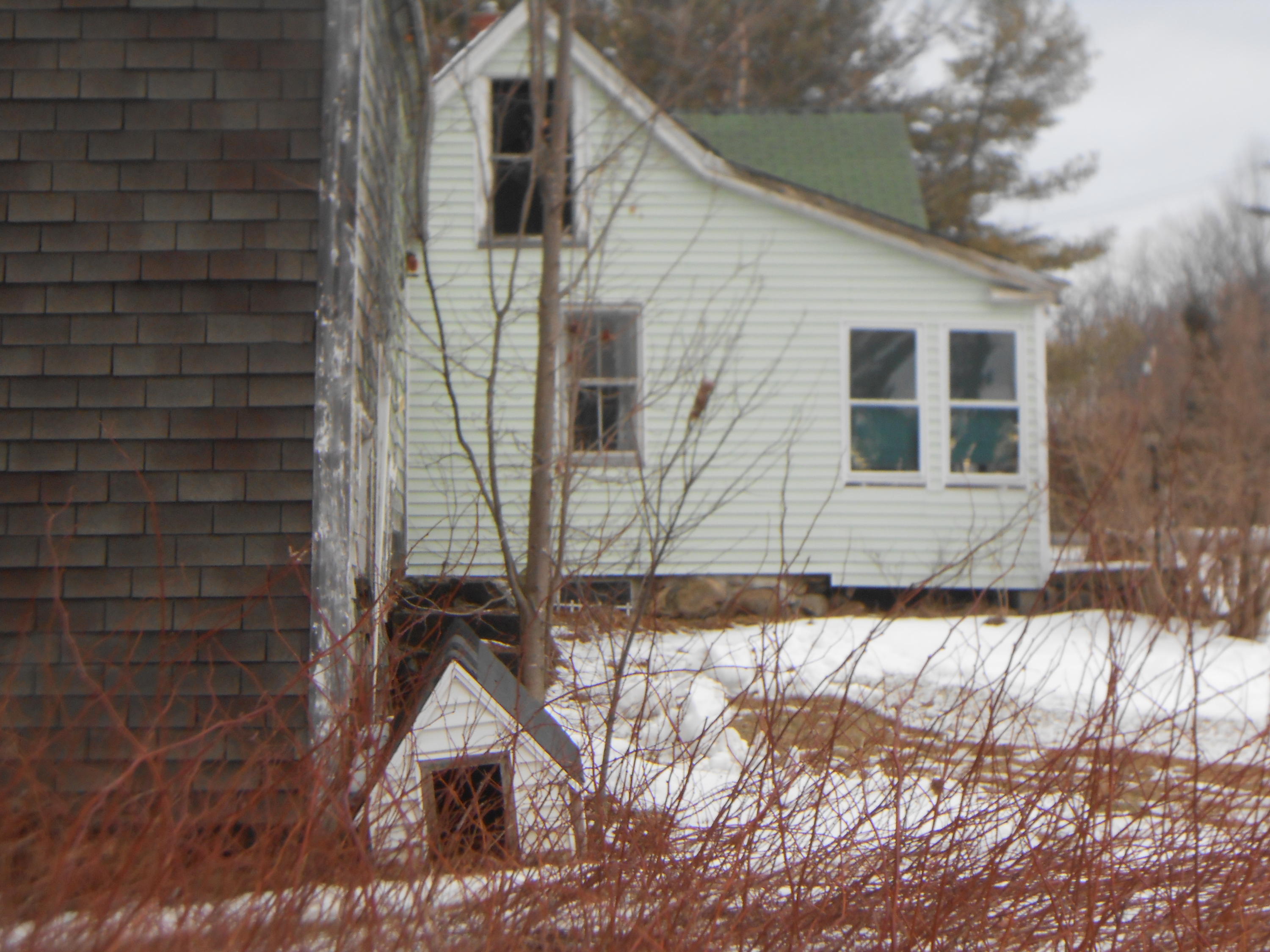 581 Canaan Road Pittsfield, ME 04967 - Photo 7 of 47 Left side of Home