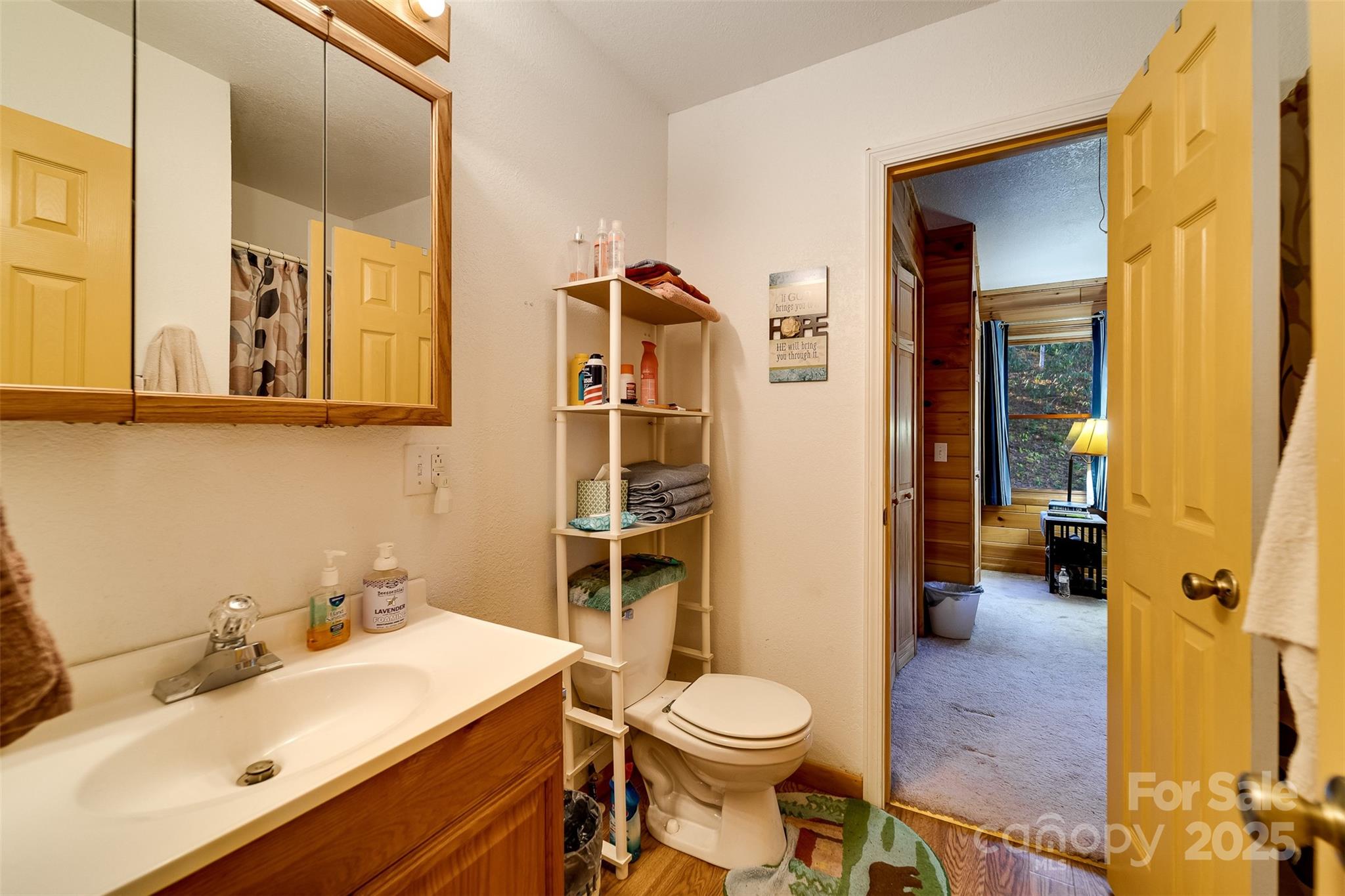 109 Hog Cove Road Sylva, NC 28779 - Photo 18 of 48 a bathroom with a sink a toilet and mirror