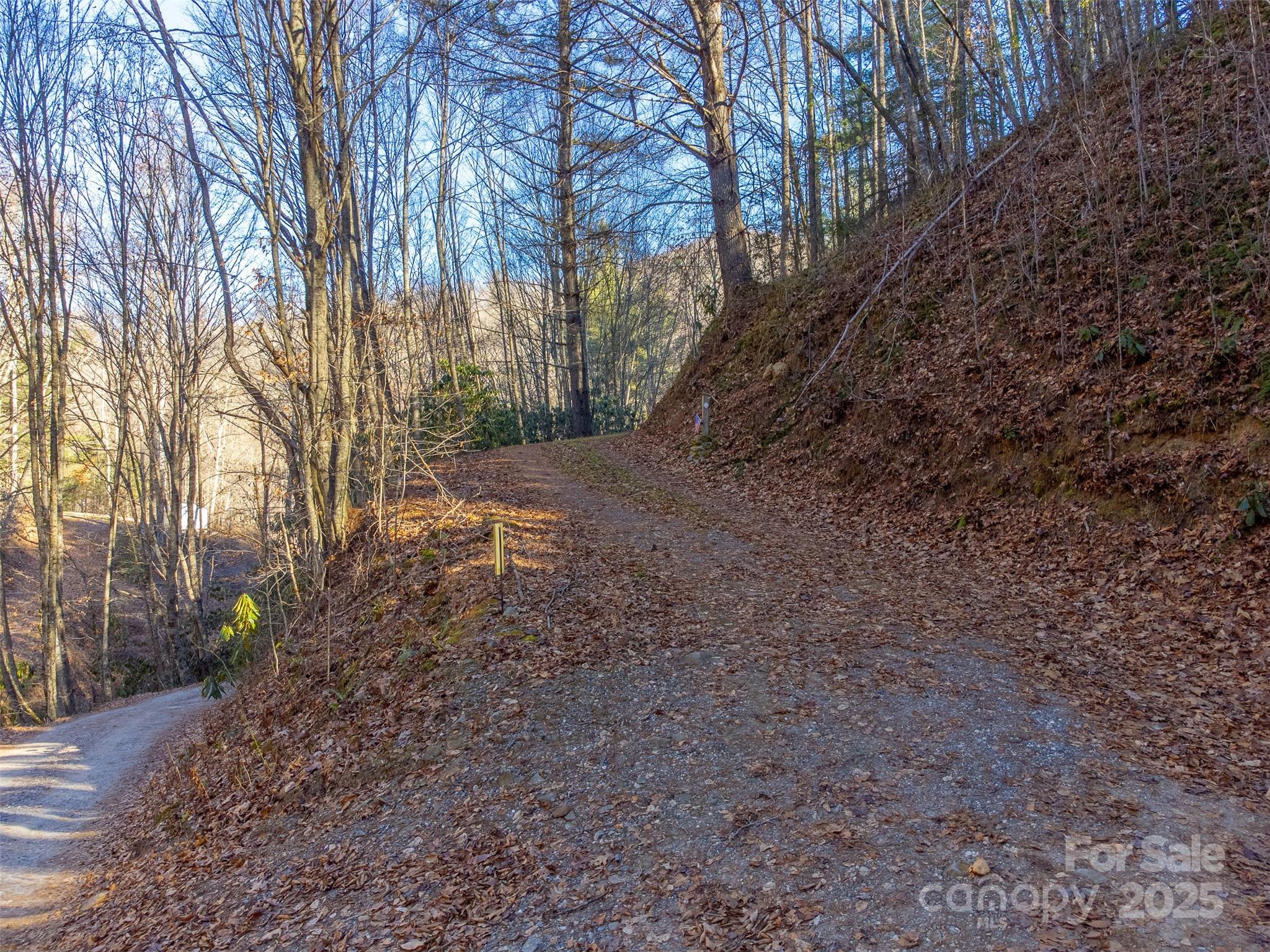 109 Hog Cove Road Sylva, NC 28779 - Photo 25 of 48 a backyard of a house with lots of green space