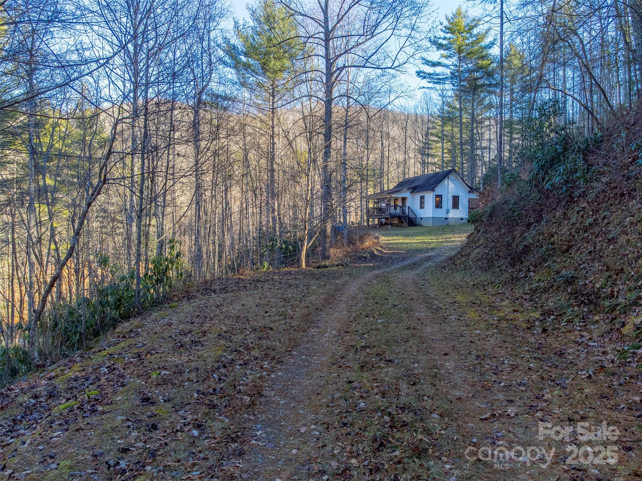 109 Hog Cove Road Sylva, NC 28779 - Photo 26 of 48 a childrens park with lots of tall trees