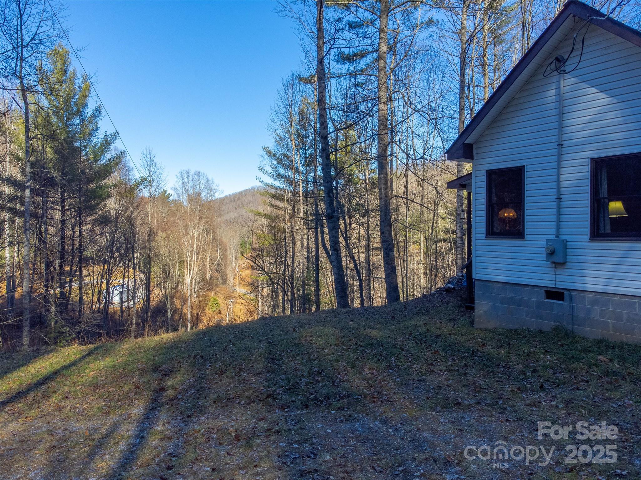 109 Hog Cove Road Sylva, NC 28779 - Photo 27 of 48 a view of a backyard with large trees