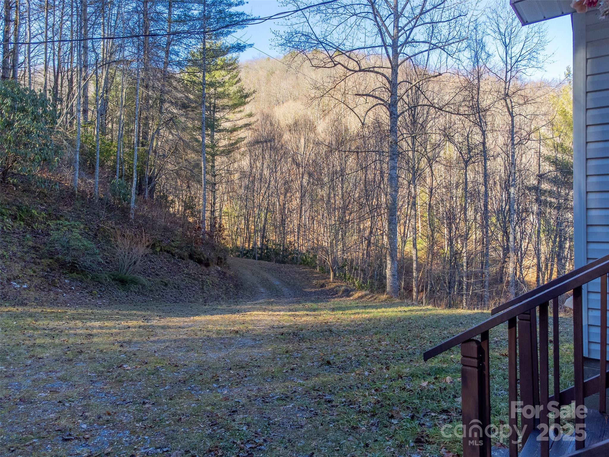 109 Hog Cove Road Sylva, NC 28779 - Photo 29 of 48 a view of a backyard with large trees