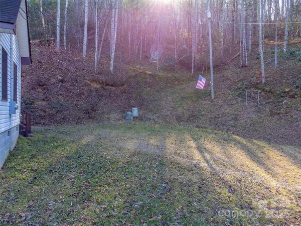 a view of a backyard with trees