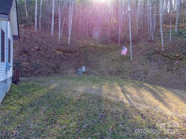 a view of a backyard with trees