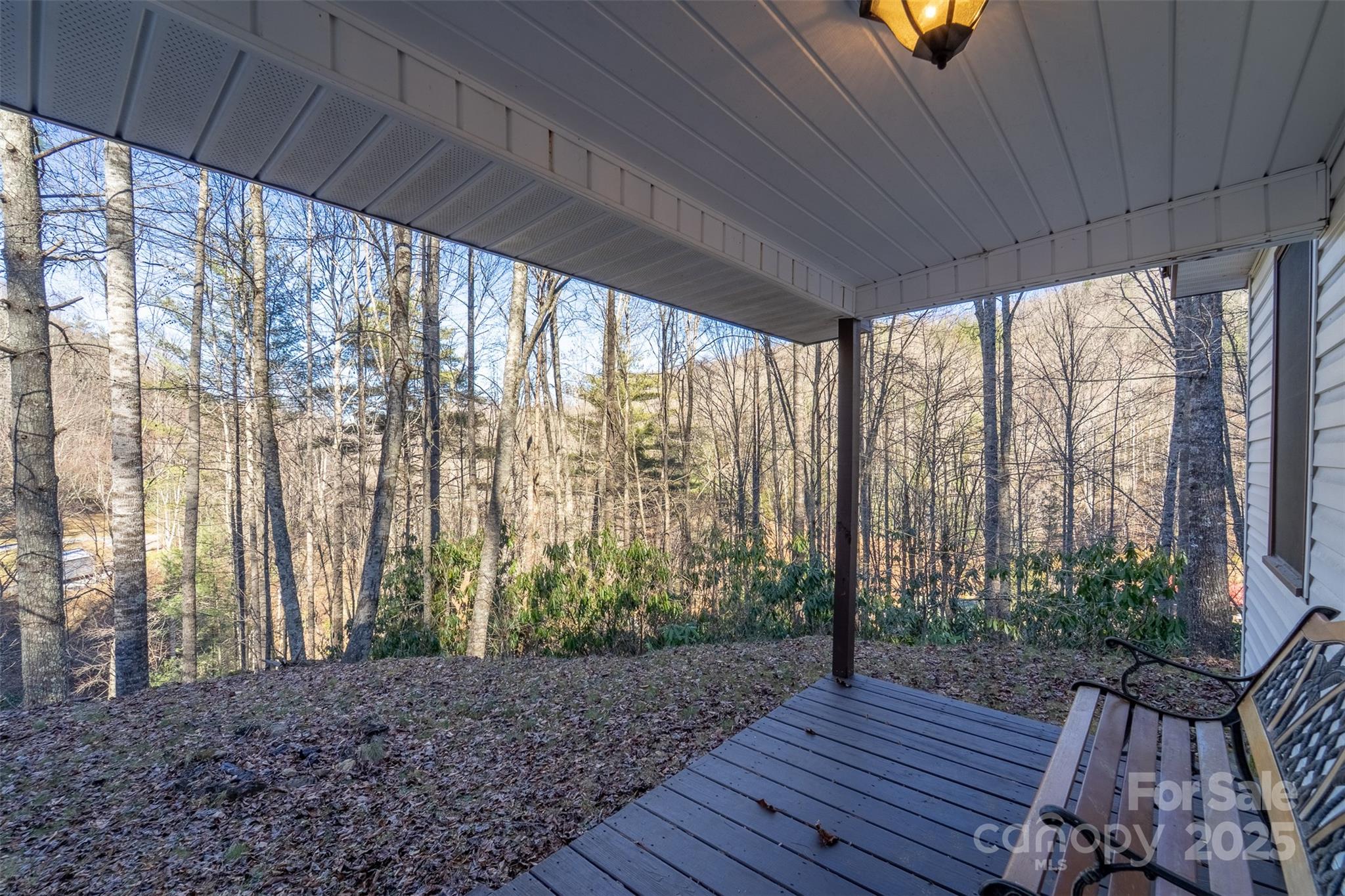 109 Hog Cove Road Sylva, NC 28779 - Photo 10 of 48 a view of backyard with green space