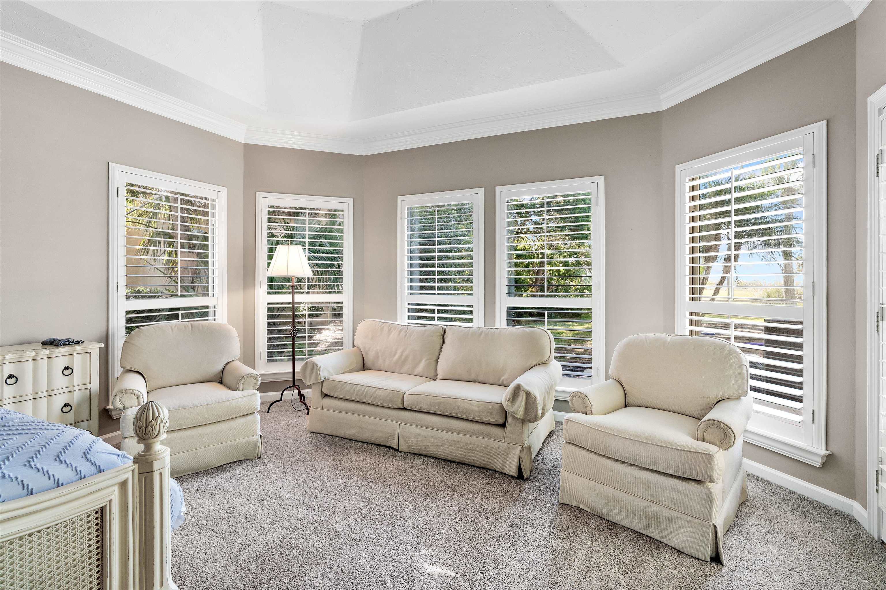 207 Marshside Drive St. Augustine, FL 32080 - Photo 30 of 87 Living room featuring healthy amount of natural light, a tray ceiling, ornamental molding, and carpet