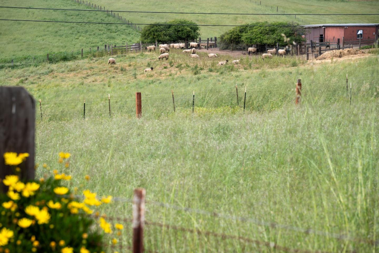 10233 Reese Circle Salinas, CA 93907 - Photo 44 of 49 a view of a yard with wooden fence
