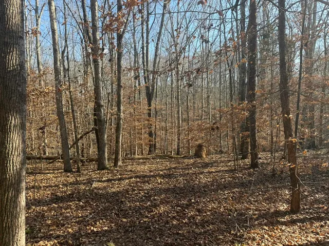 $24,900 | 192 Rambler Lane, Blacksburg, SC 29702