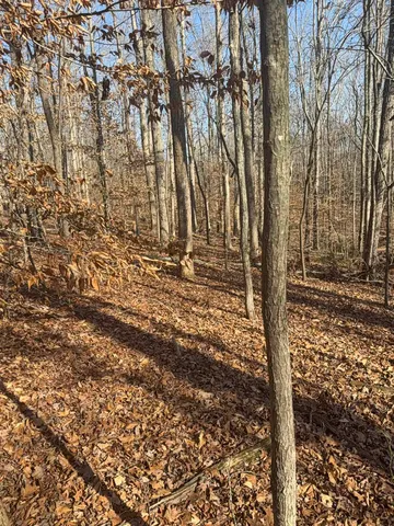 $24,900 | 192 Rambler Lane, Blacksburg, SC 29702