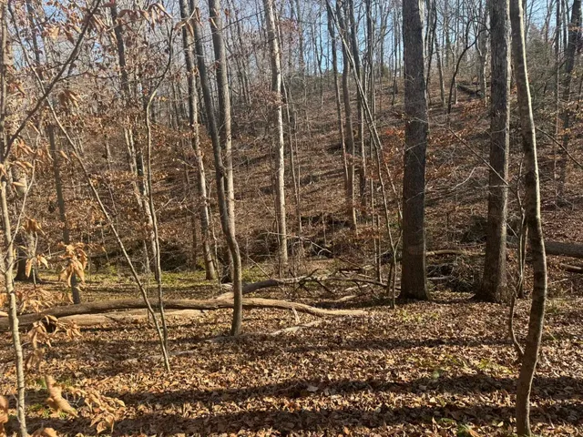 $24,900 | 192 Rambler Lane, Blacksburg, SC 29702