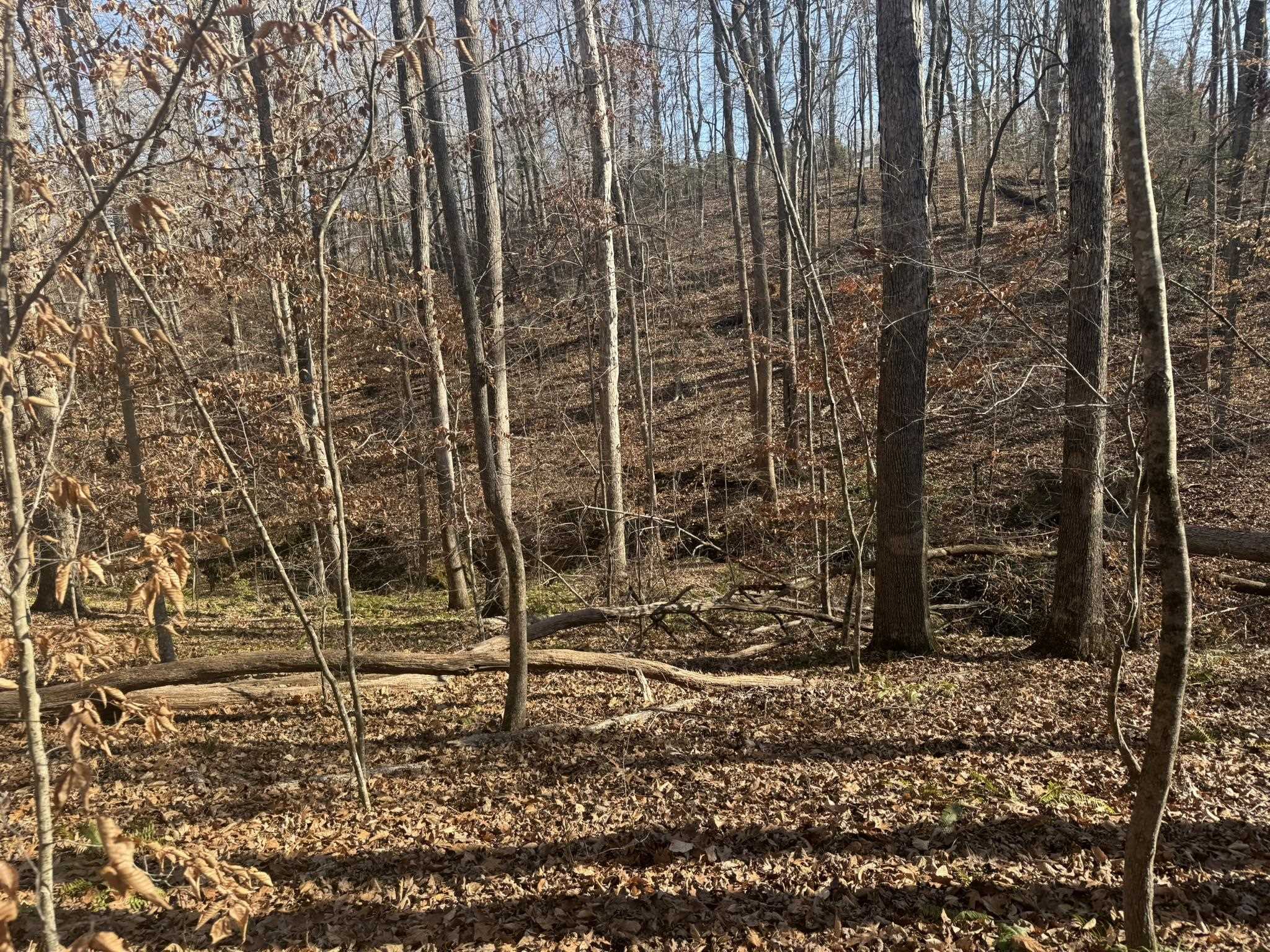 192 Rambler Lane Blacksburg, SC 29702 - Photo 5 of 7