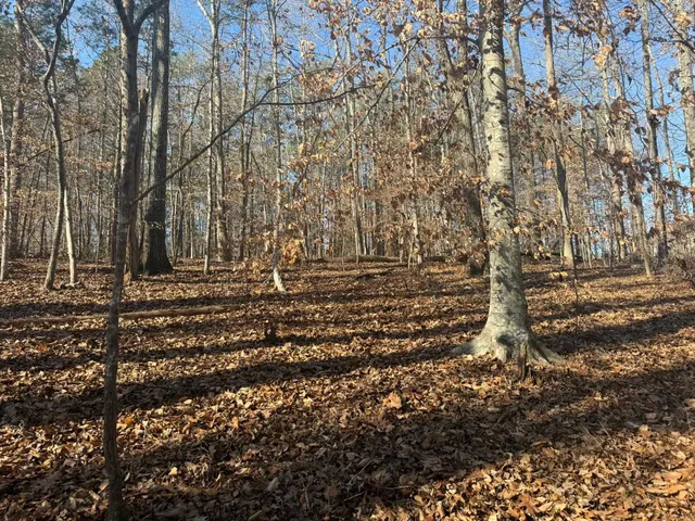 $24,900 | 192 Rambler Lane, Blacksburg, SC 29702