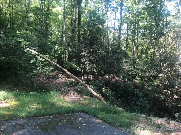$49,900 | Tbd Tbd Peppervine Circle, Unit 94, Rosman, NC 28772