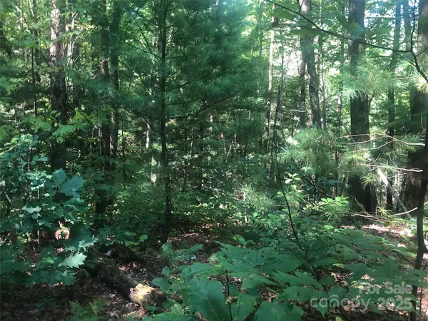 $49,900 | Tbd Tbd Peppervine Circle, Unit 94, Rosman, NC 28772