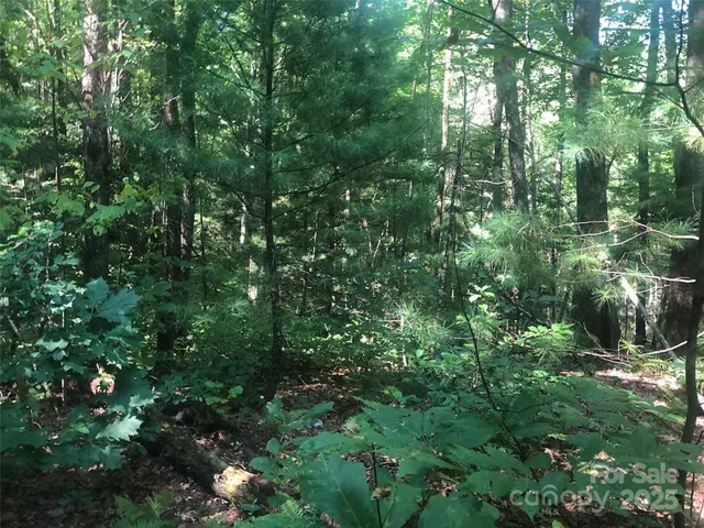 $49,900 | Tbd Tbd Peppervine Circle, Unit 94, Rosman, NC 28772