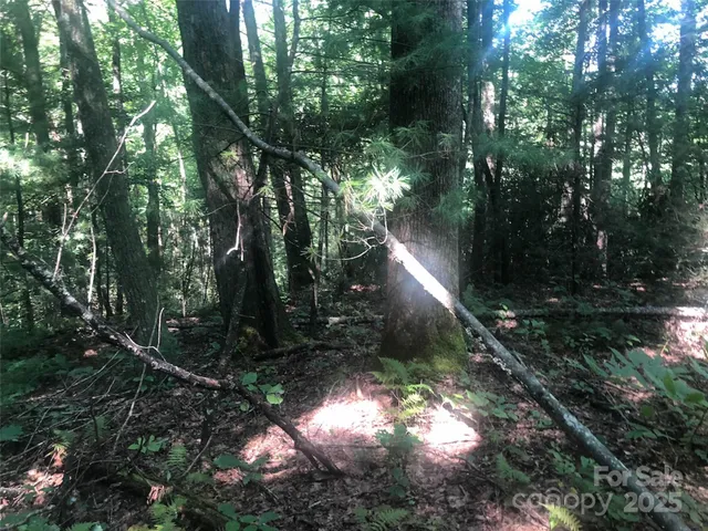 $49,900 | Tbd Tbd Peppervine Circle, Unit 94, Rosman, NC 28772